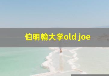 伯明翰大学old joe